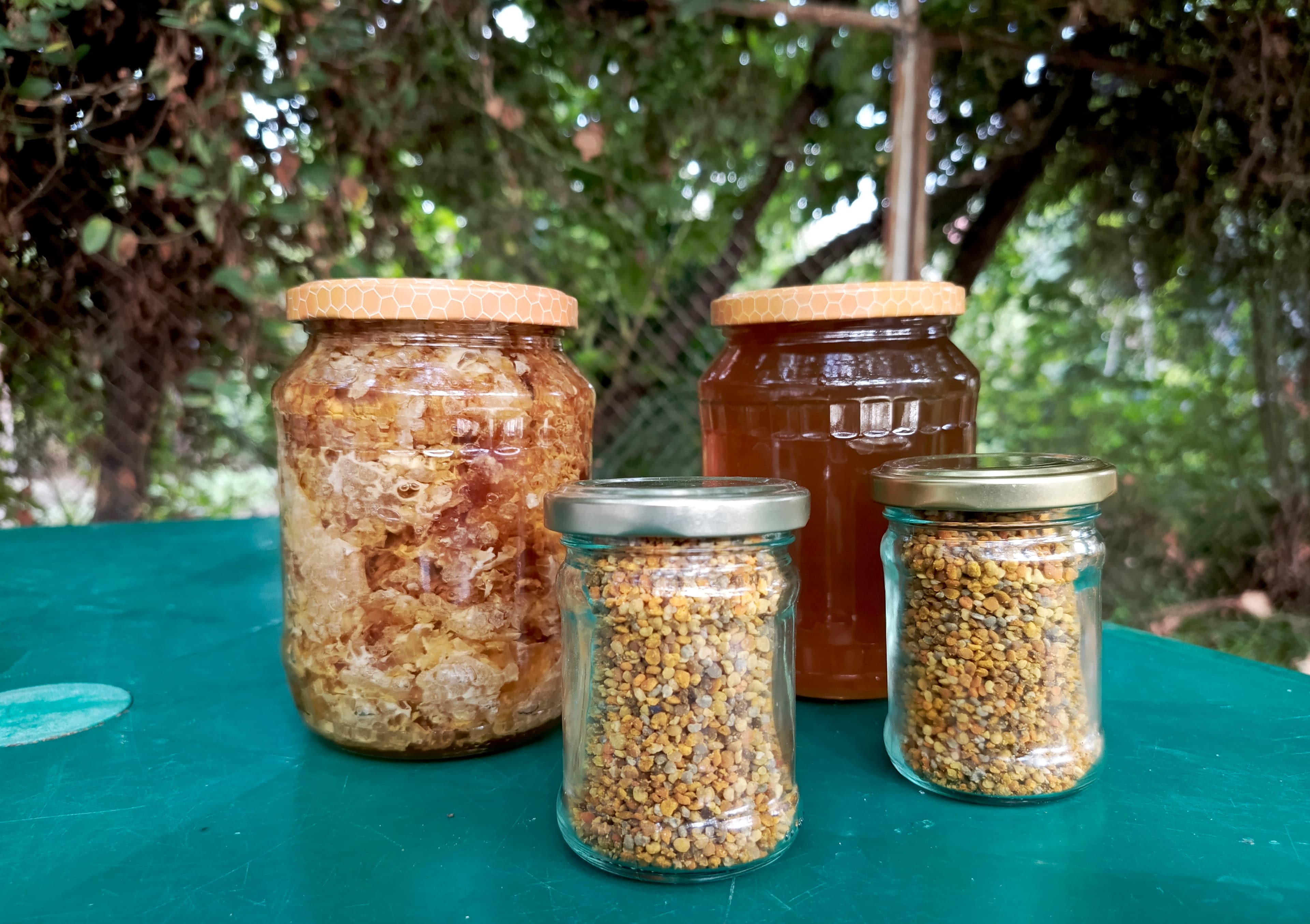Quba dağ balı
