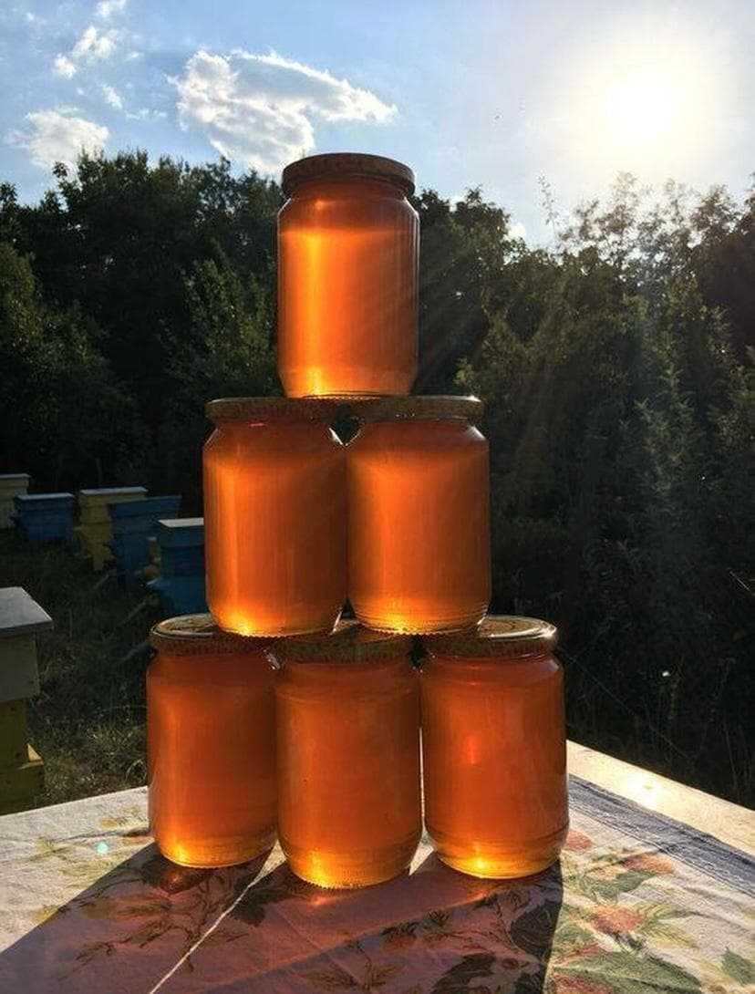 Organic Balakən Dağ balı