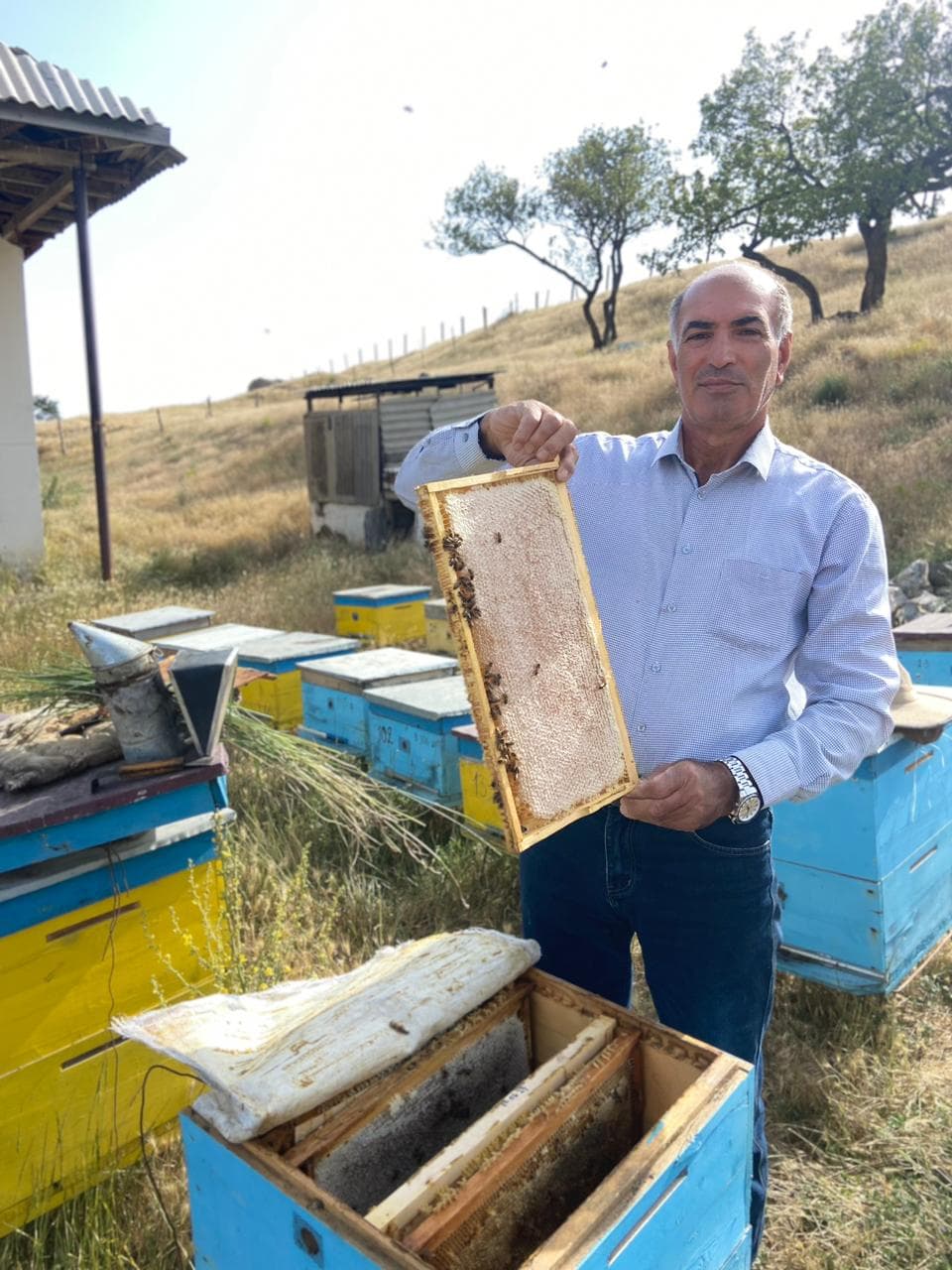 Lerik dağ balı