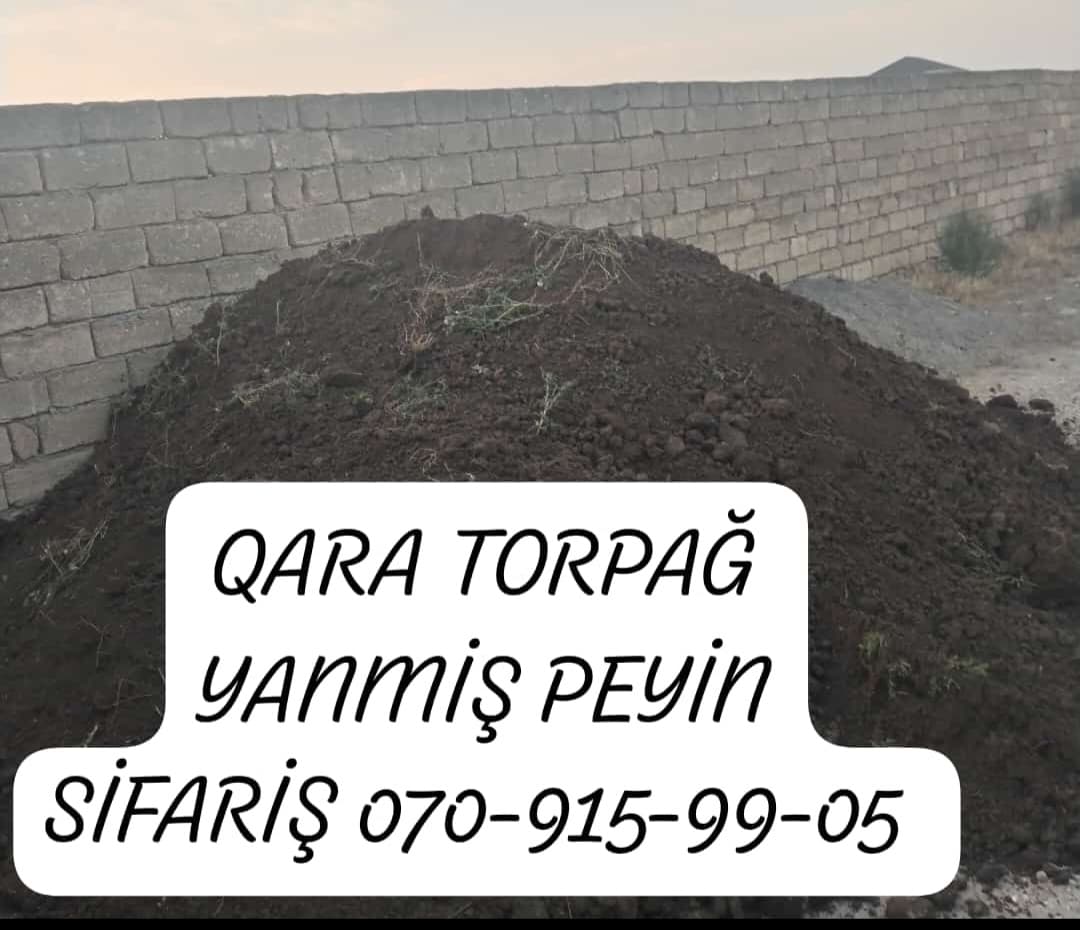 Torf
