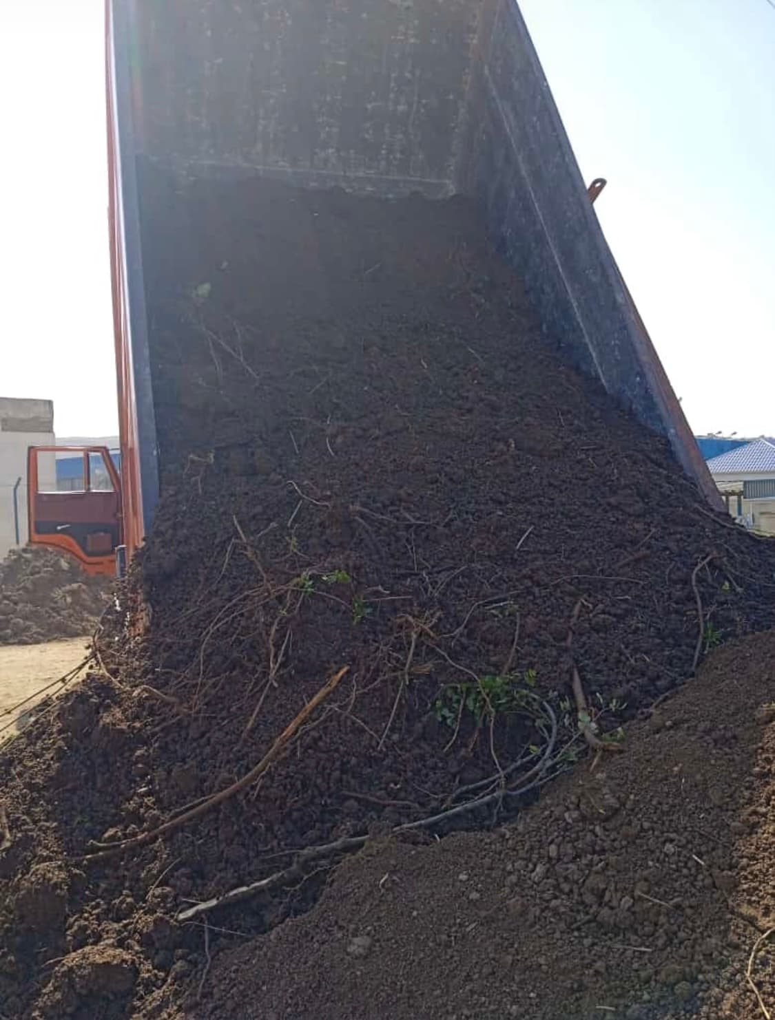 Qara meşə torpağı