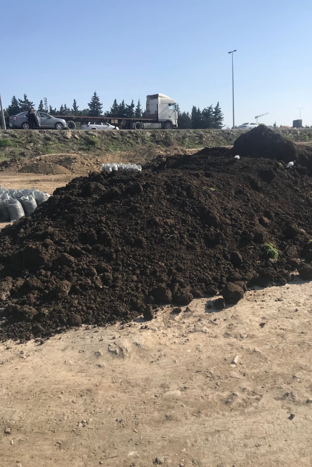Qara meşə torpağı