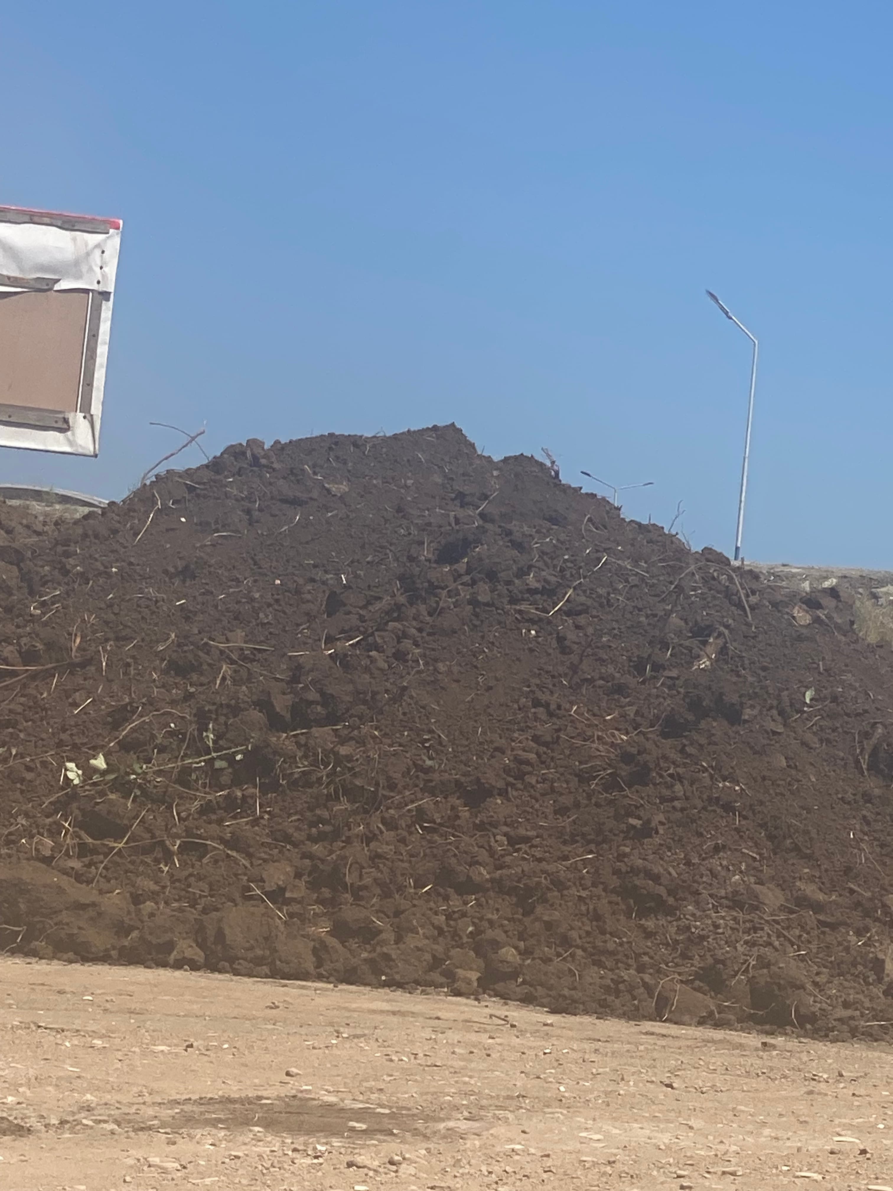 Qara meşə torpağı