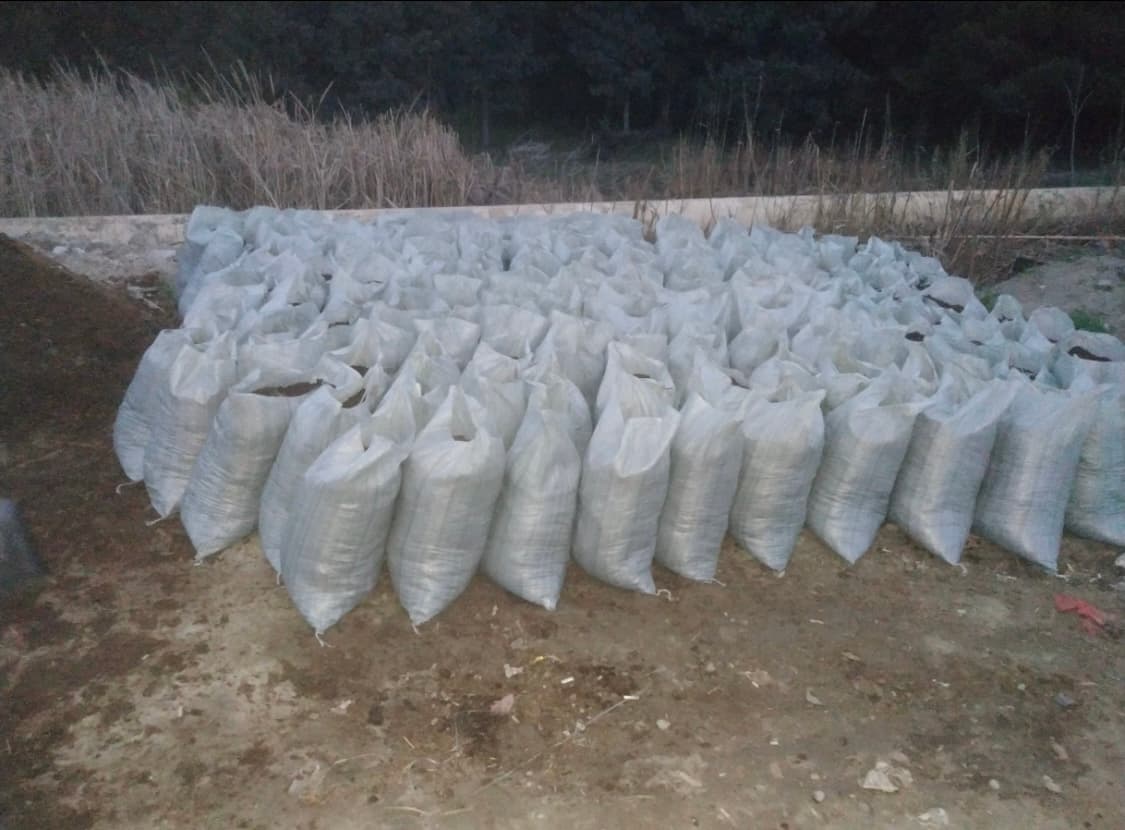 Qara meşə torpağı