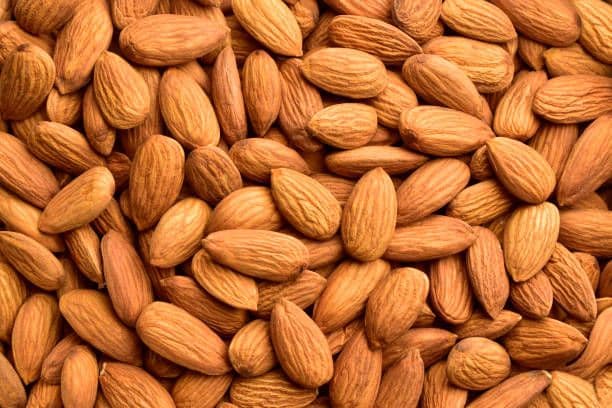 Badam (ispan sortu)