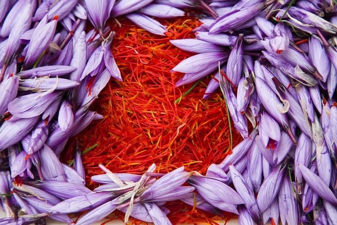 Bakı zəfəranı (шафран,saffron)