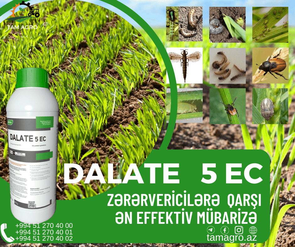 Dalate 5 EC