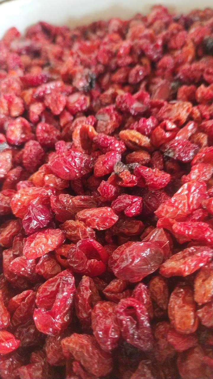 Zoğal qurusu tumu çıxarılmış
