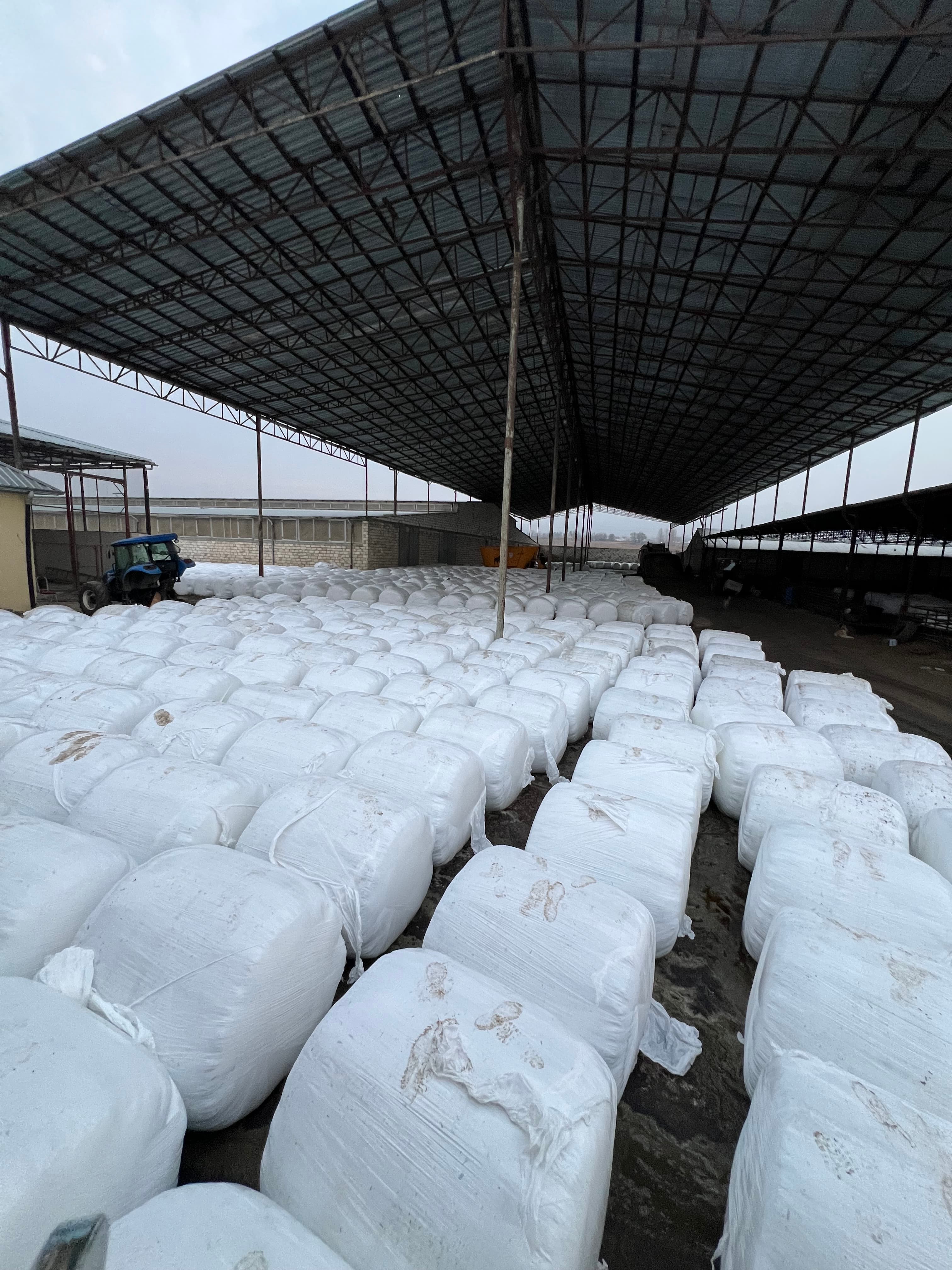 Silos Qargidali