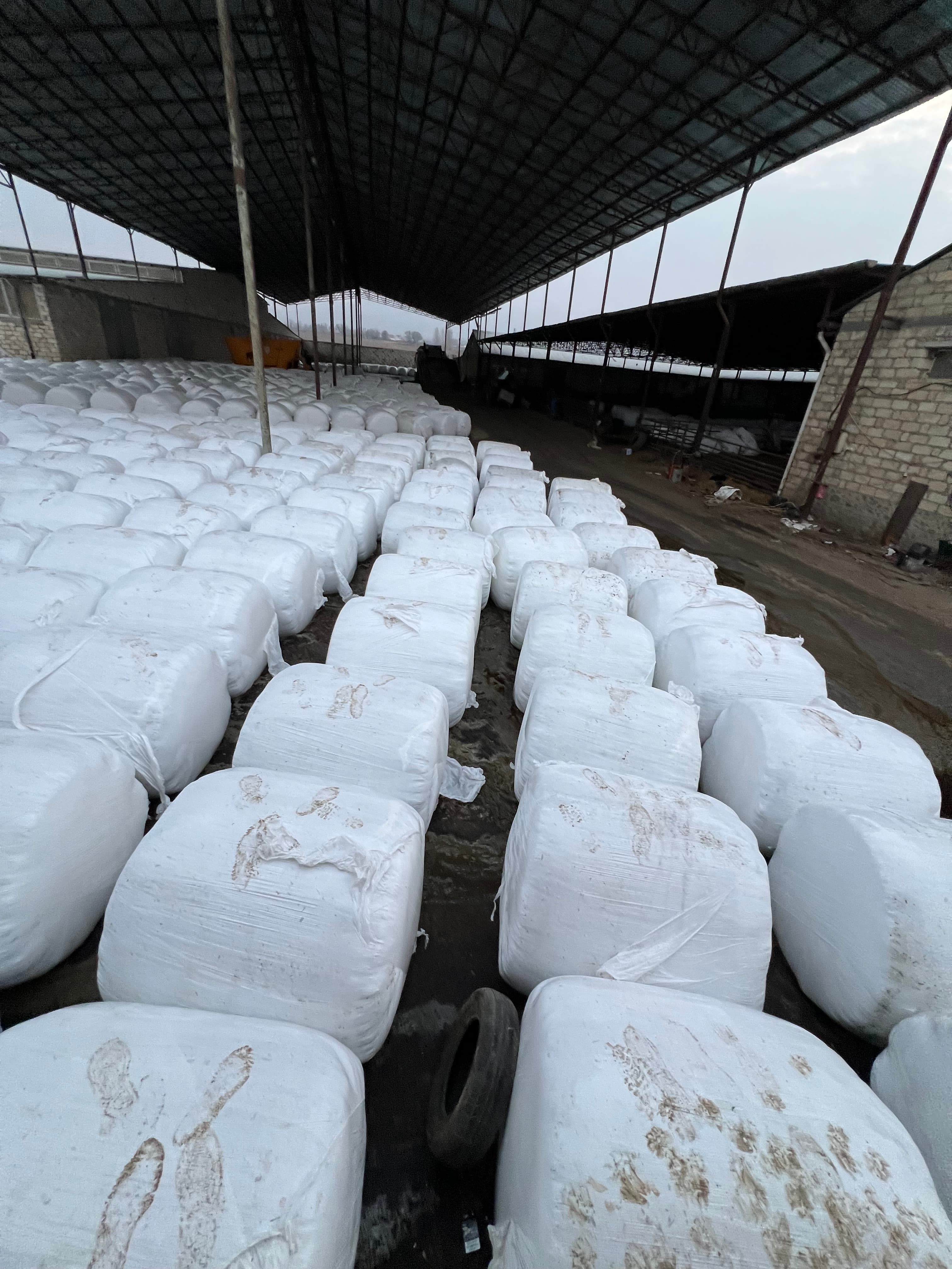 Silos Qargidali
