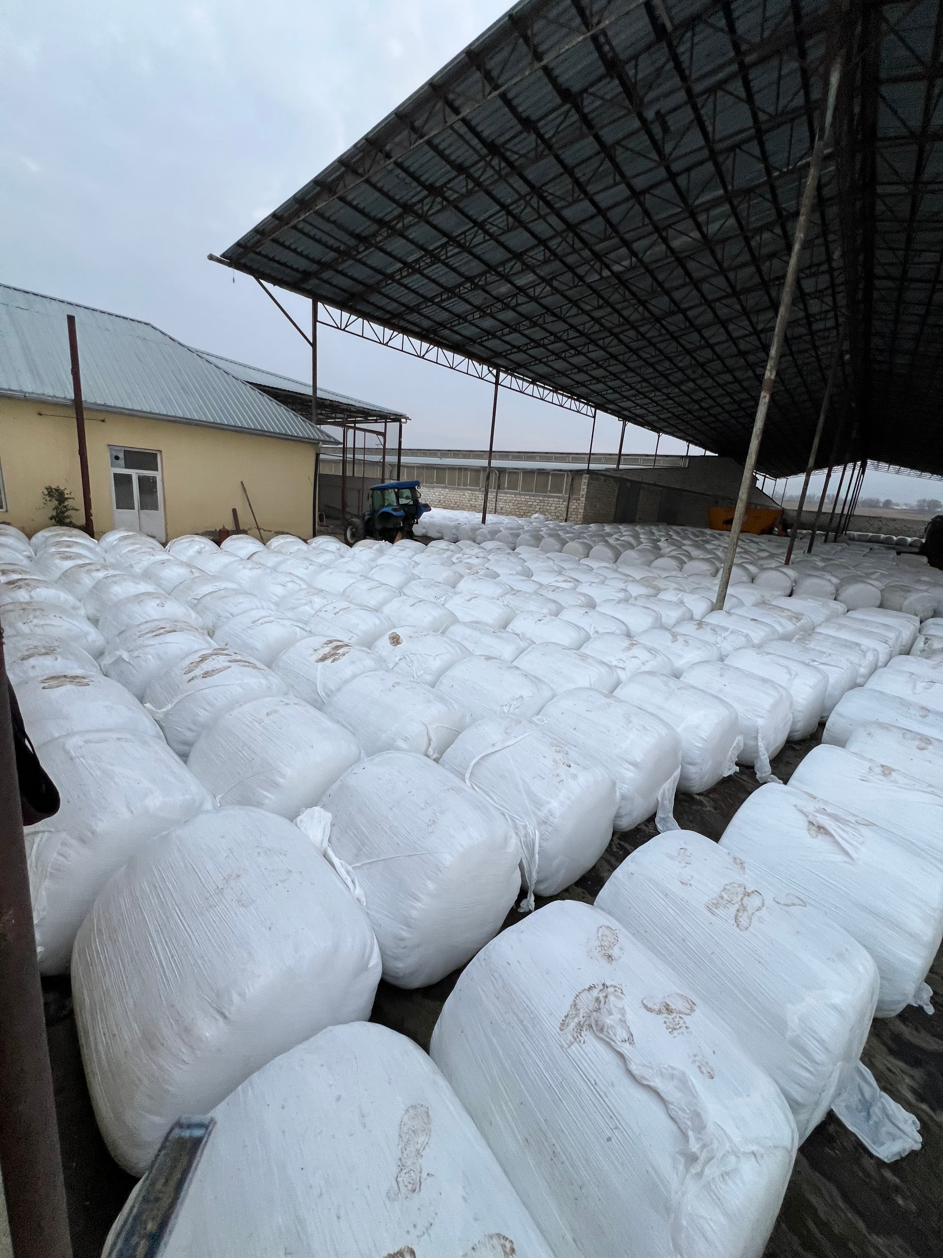 Silos Qargidali