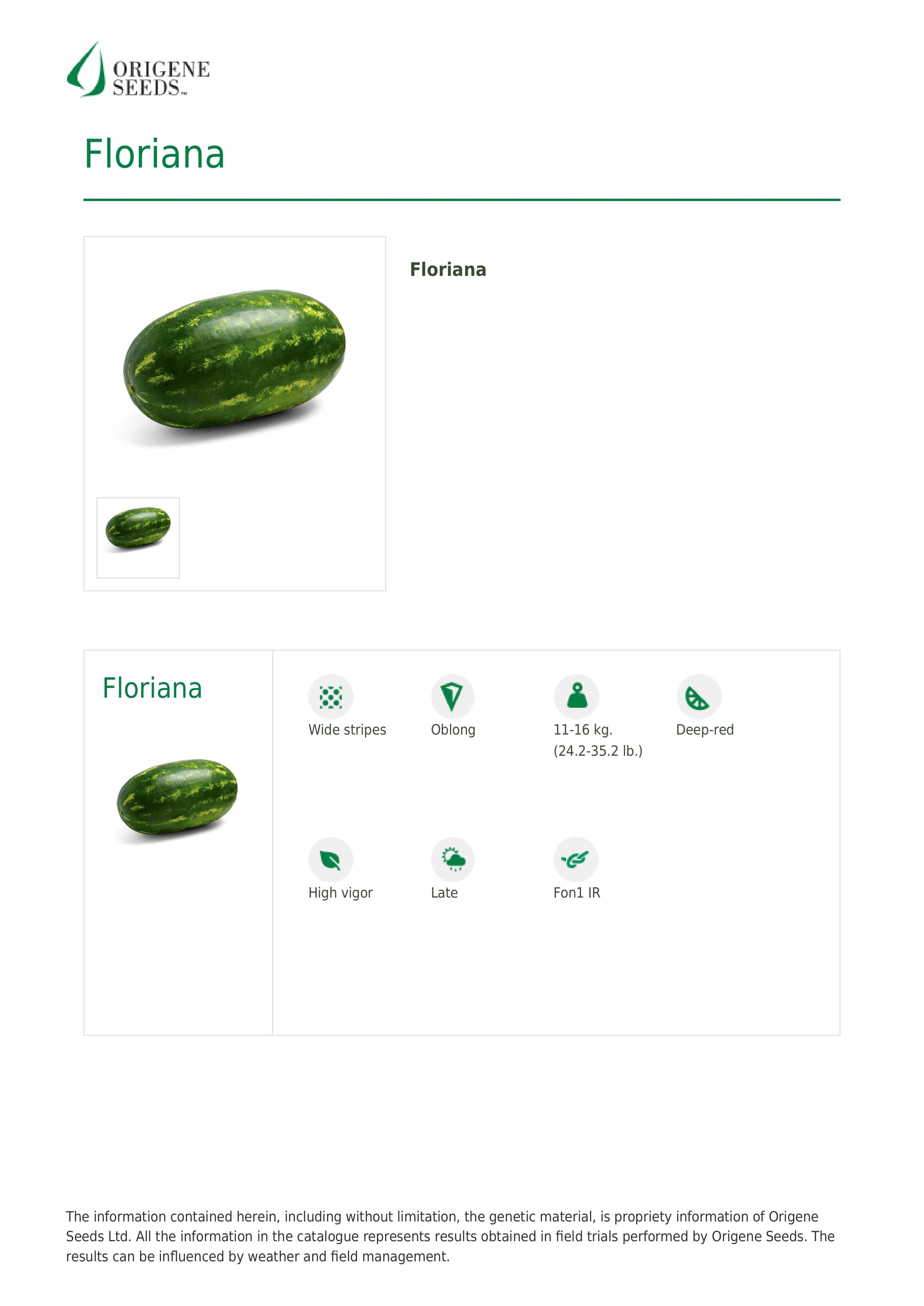 Floriana-qarpız toxumu