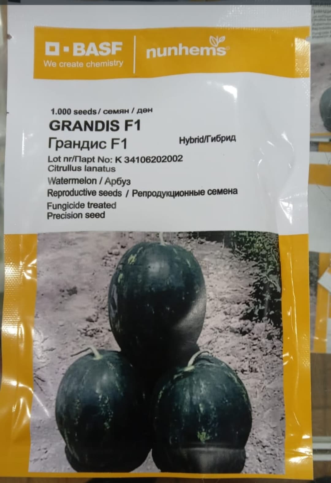 Grandis f1