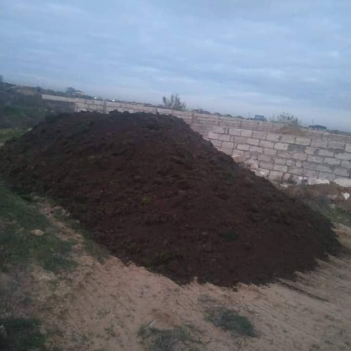 Qara torpaq