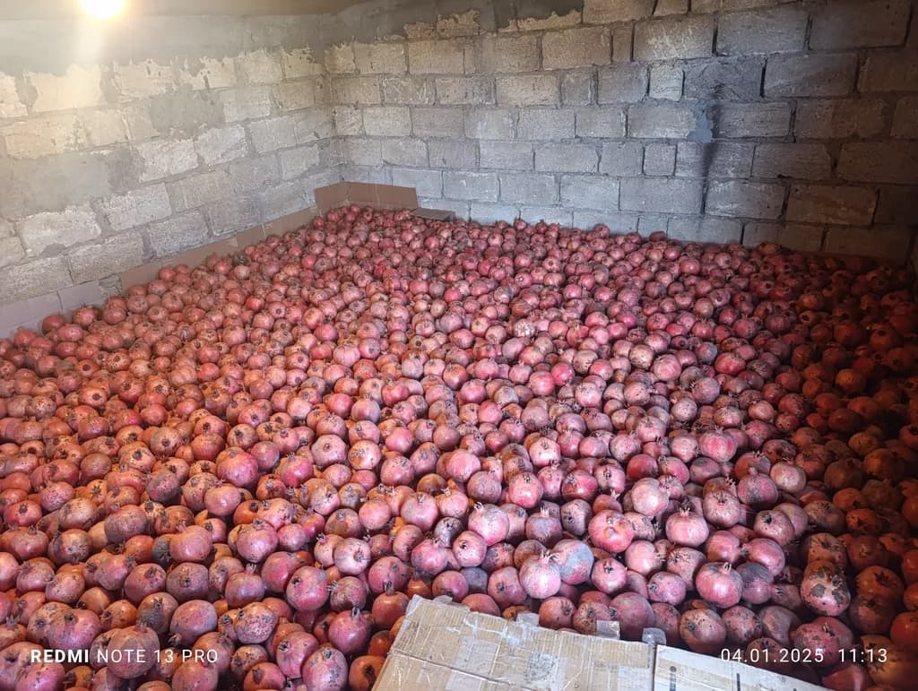 Nar satılır