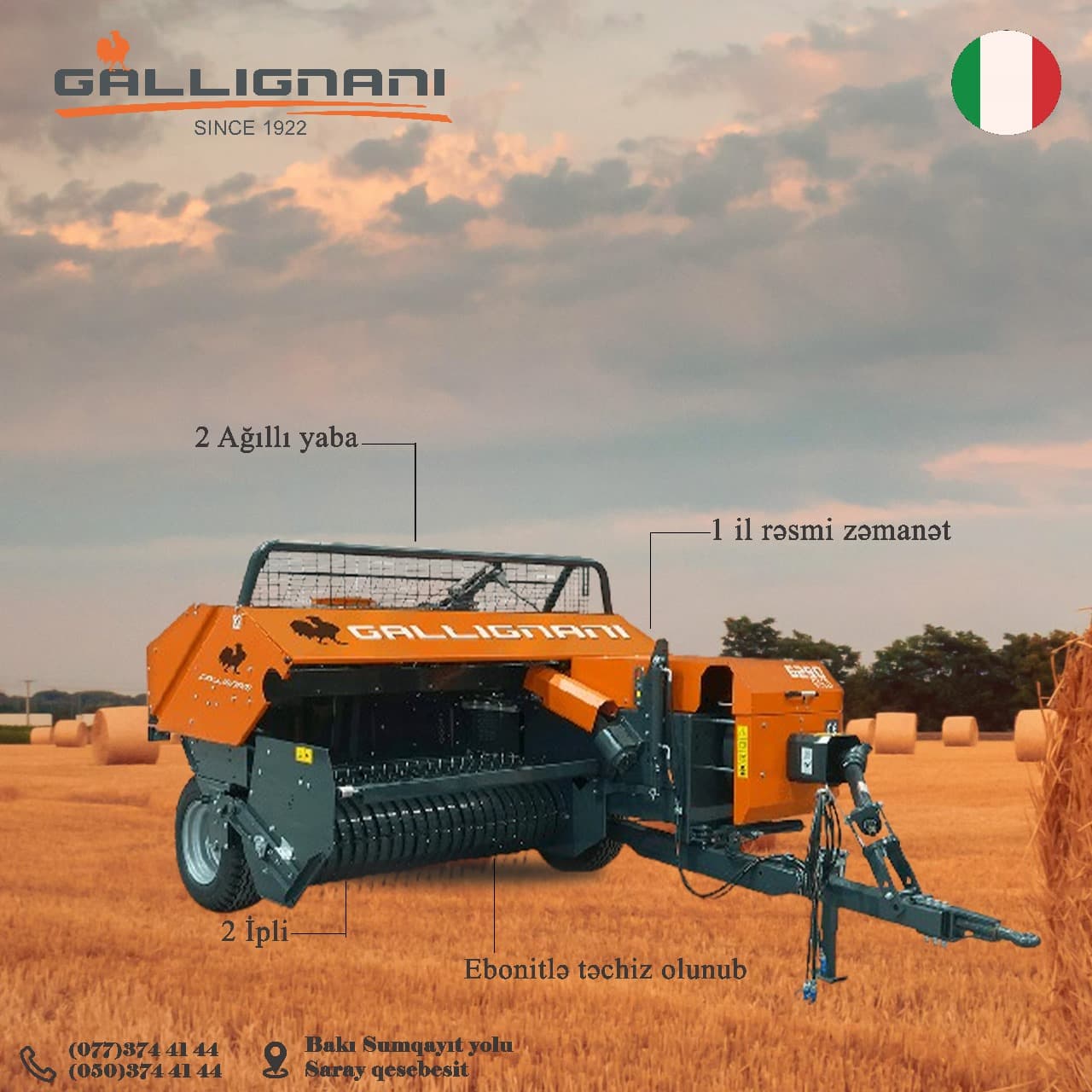 Gallignani 6690 GOLD