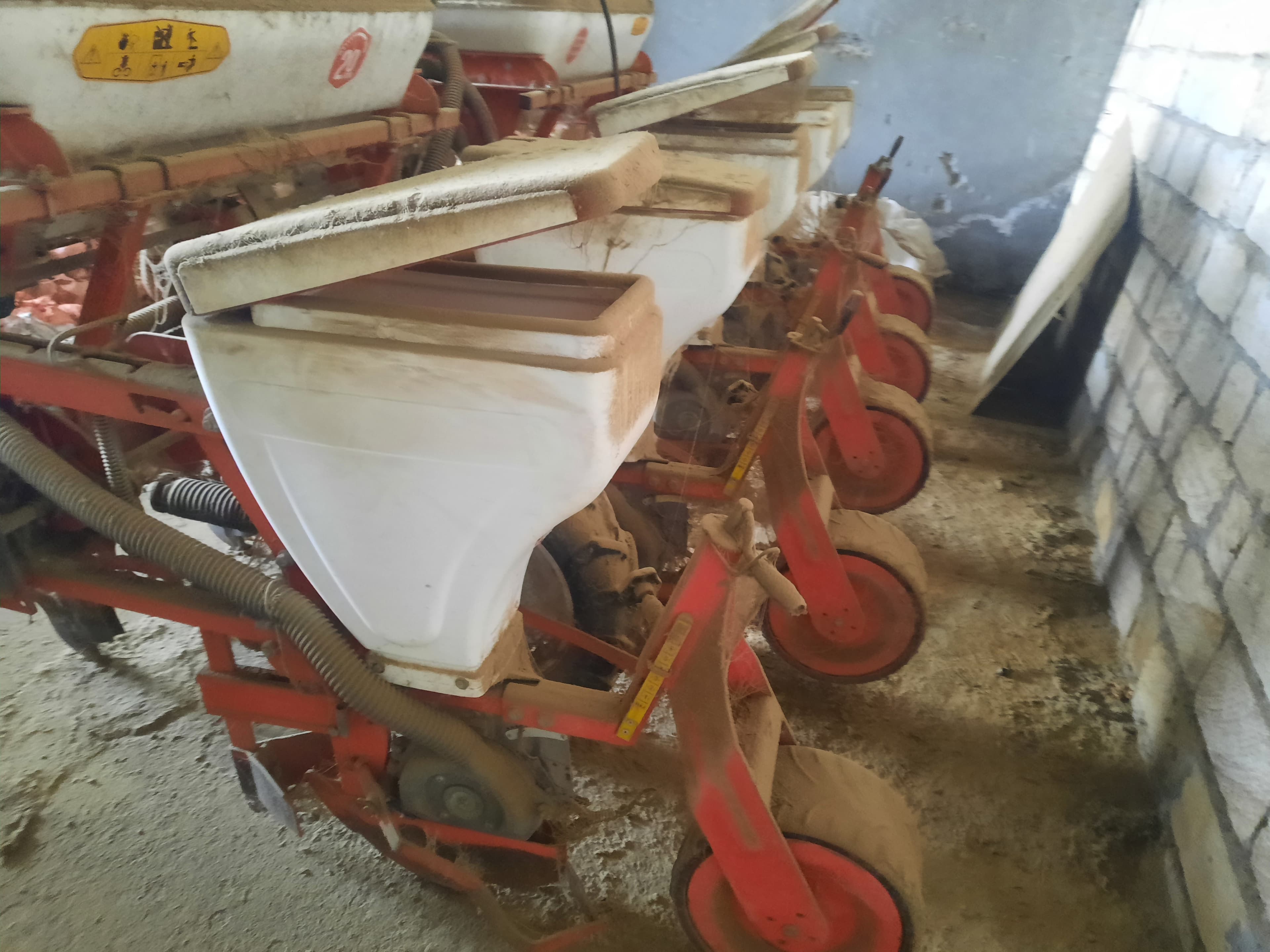 Qarğıdalı səpən