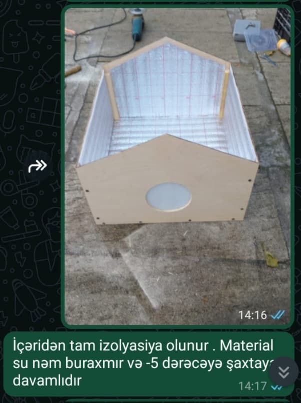 Pişik yuvaları
