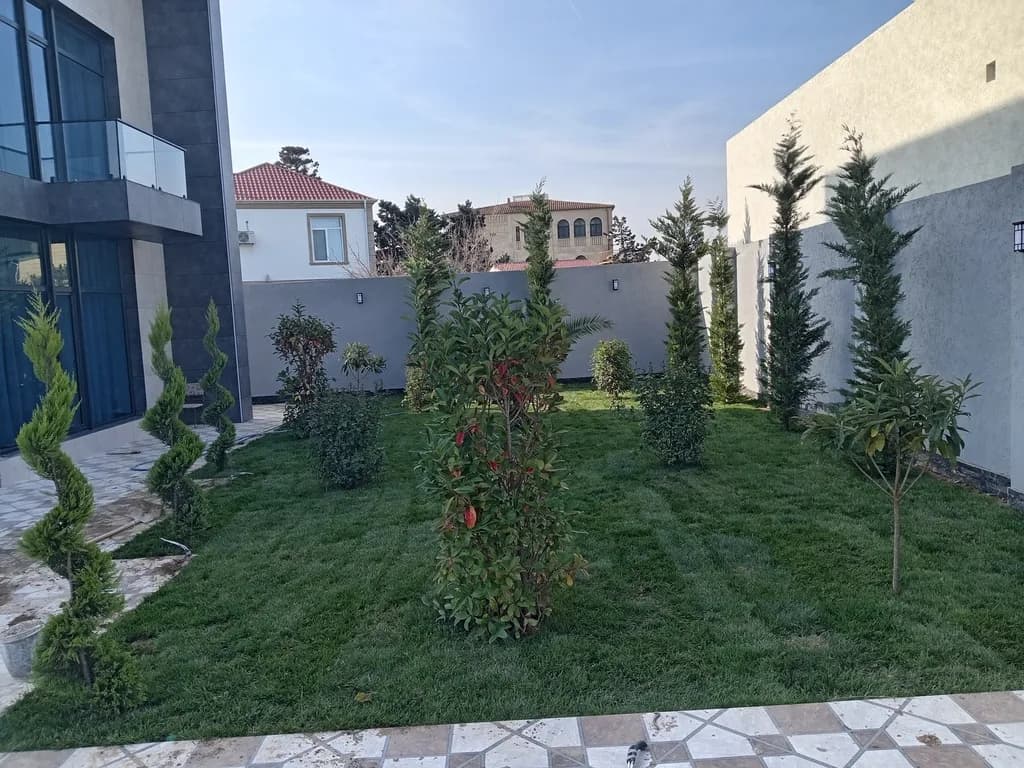 Qazon satışı