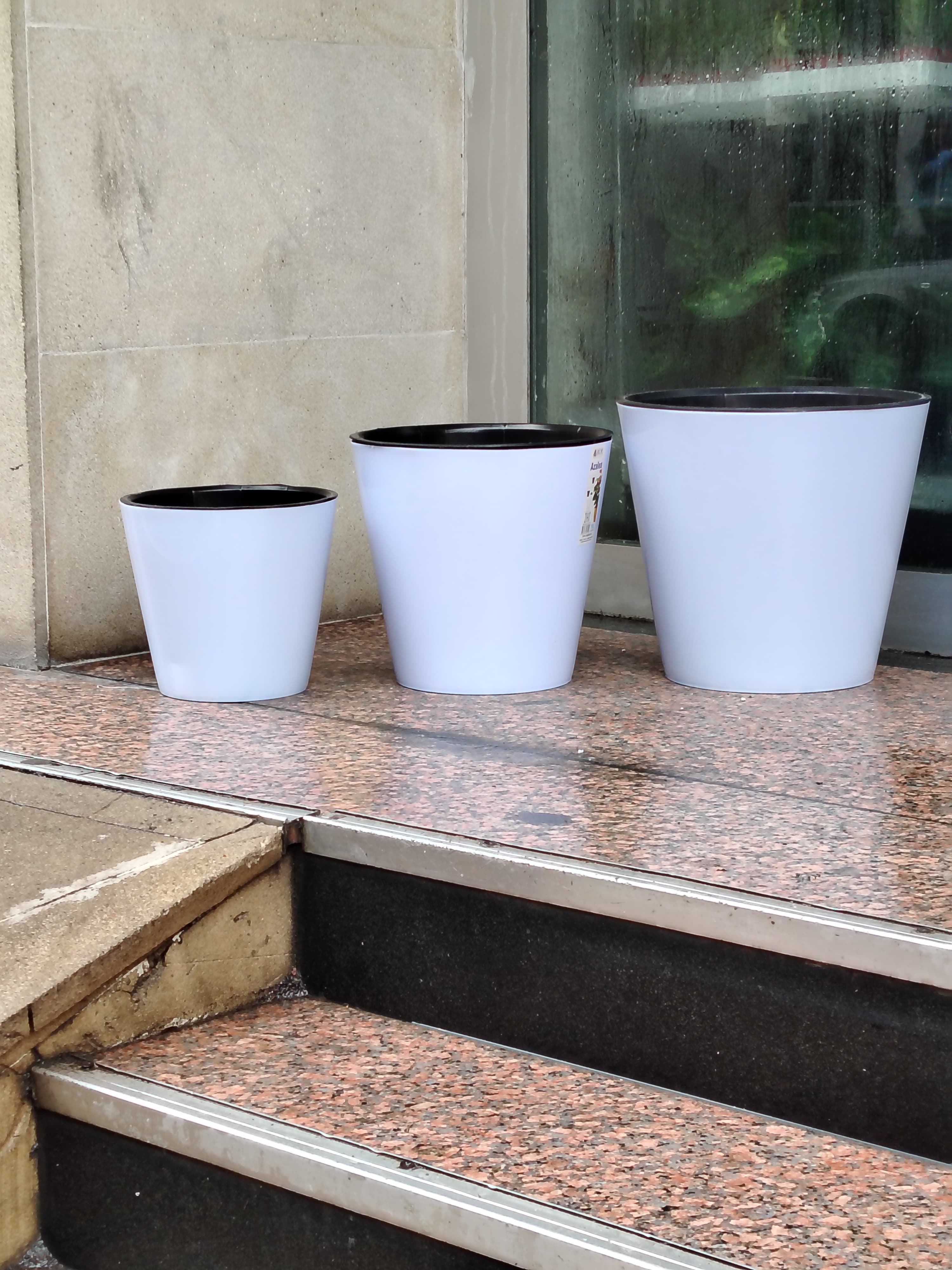 Plastik Dibçəklər