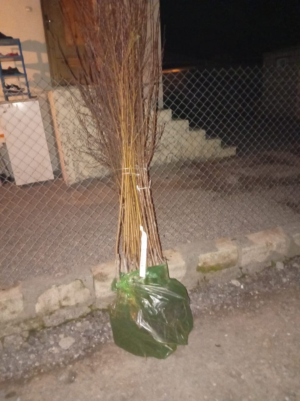 Ağac tinglərinin satışı