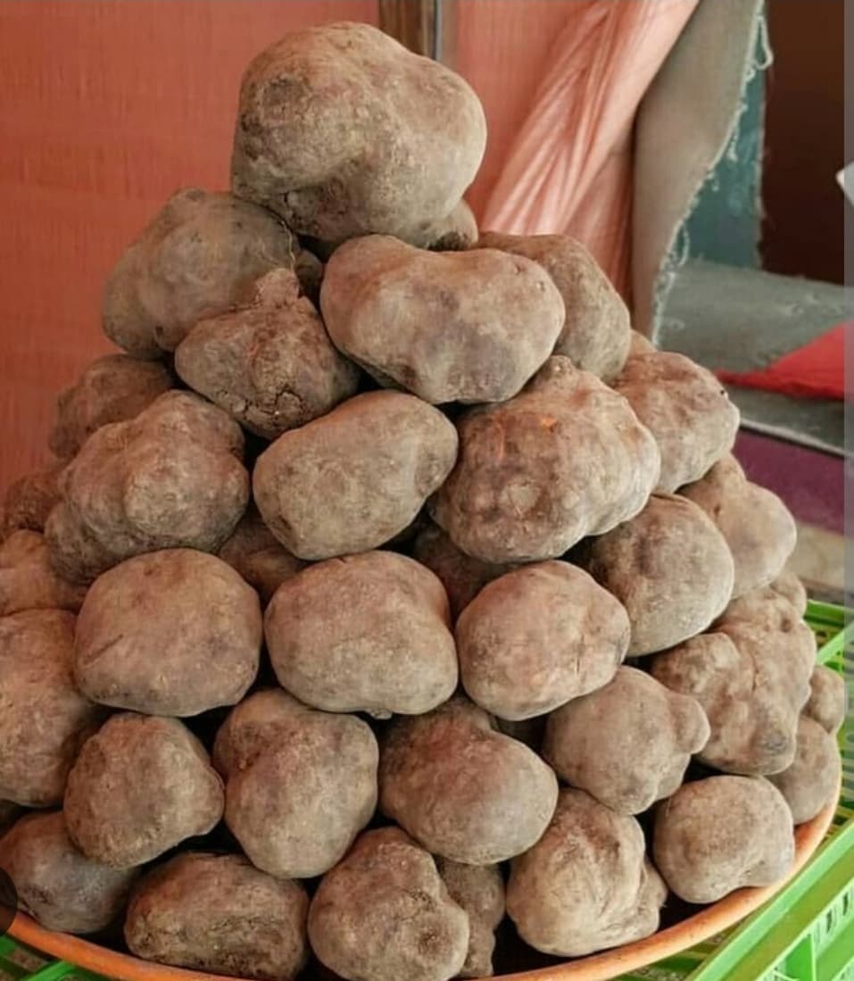 Donbalan satışı