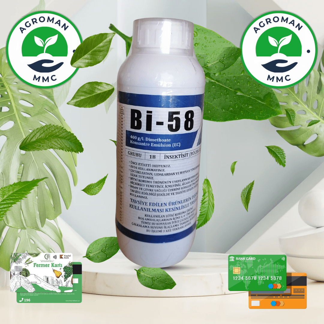 Bİ 58 (indeksid)
