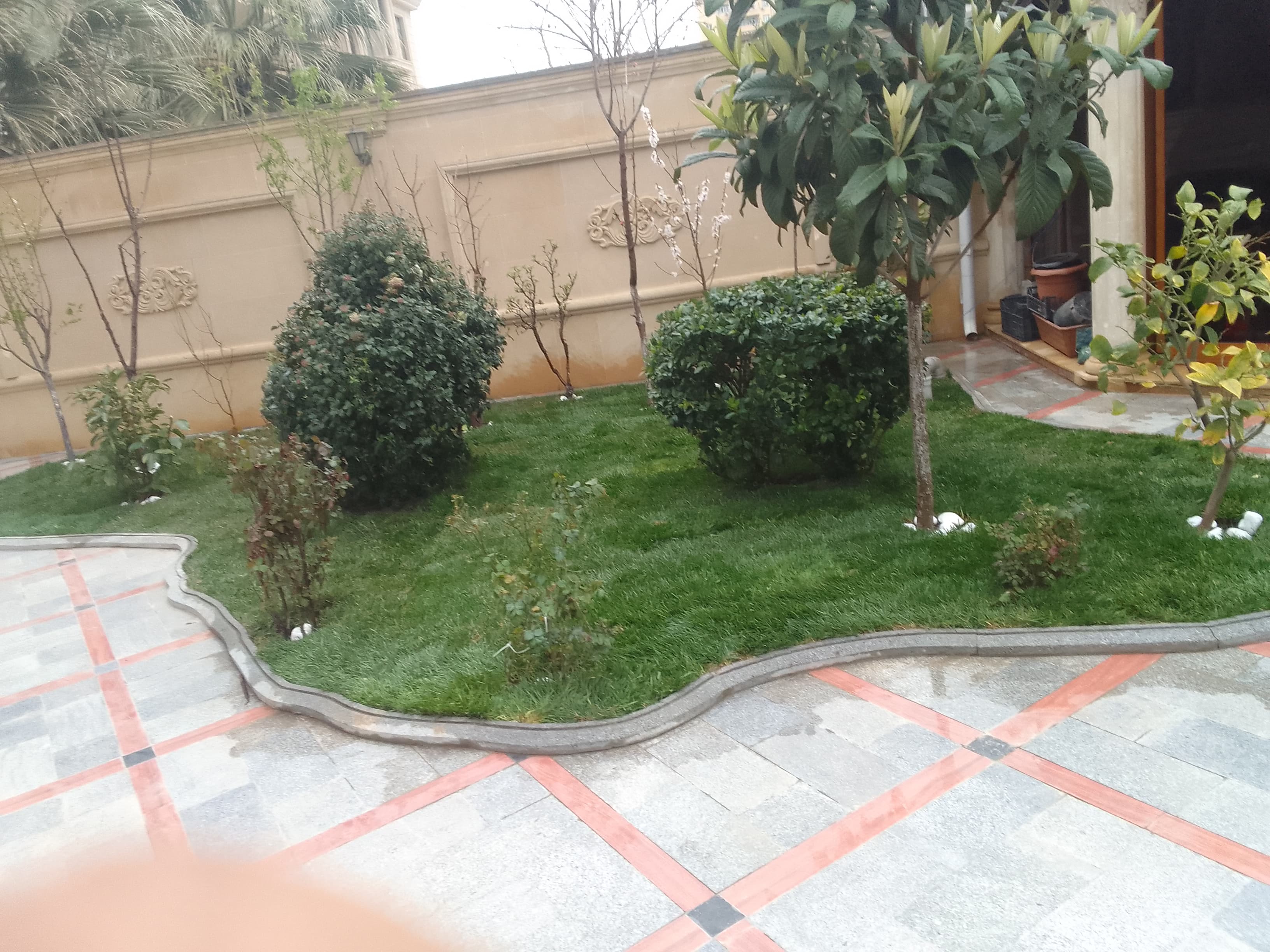 Qazon satışı