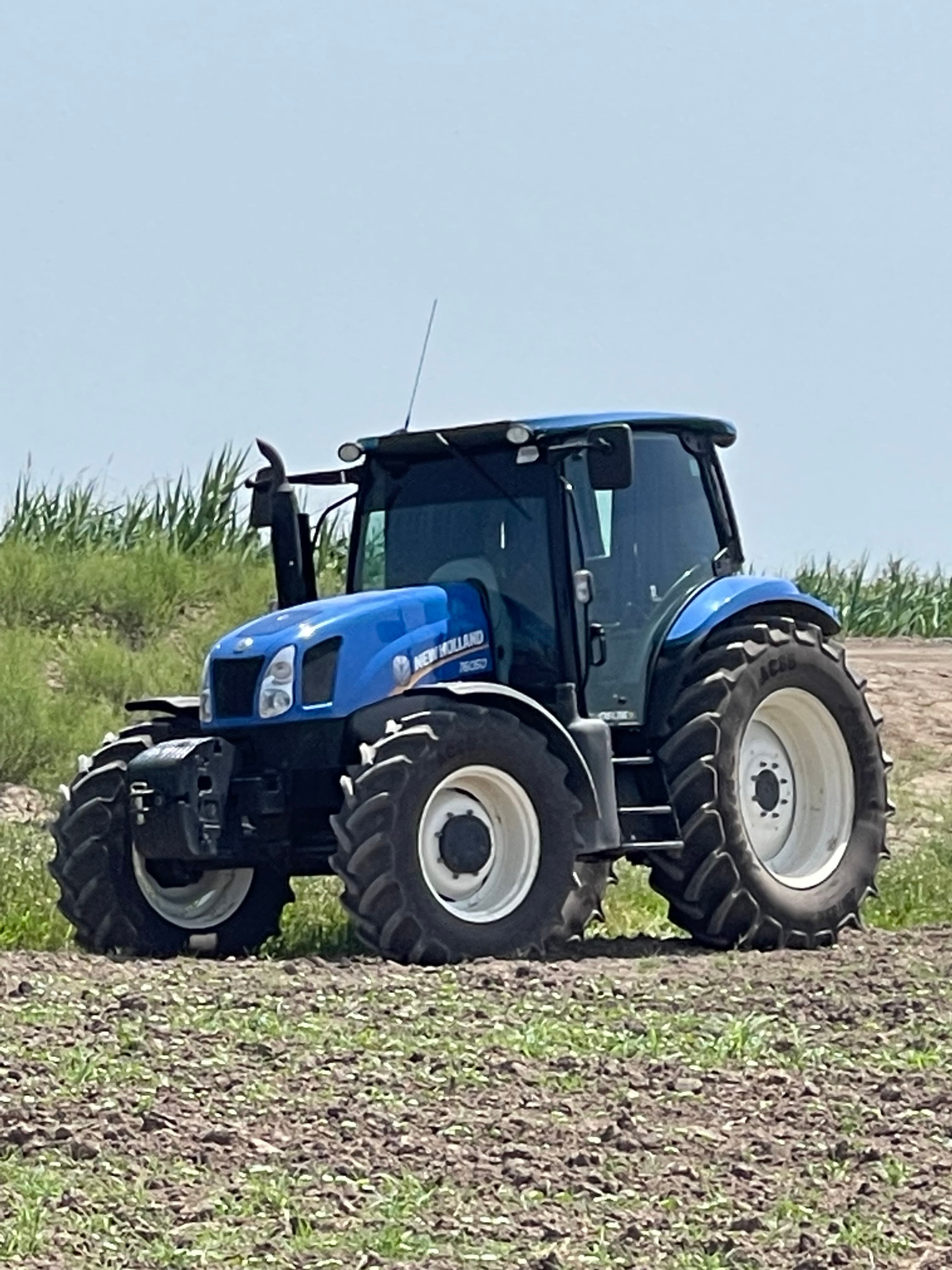 New Holland