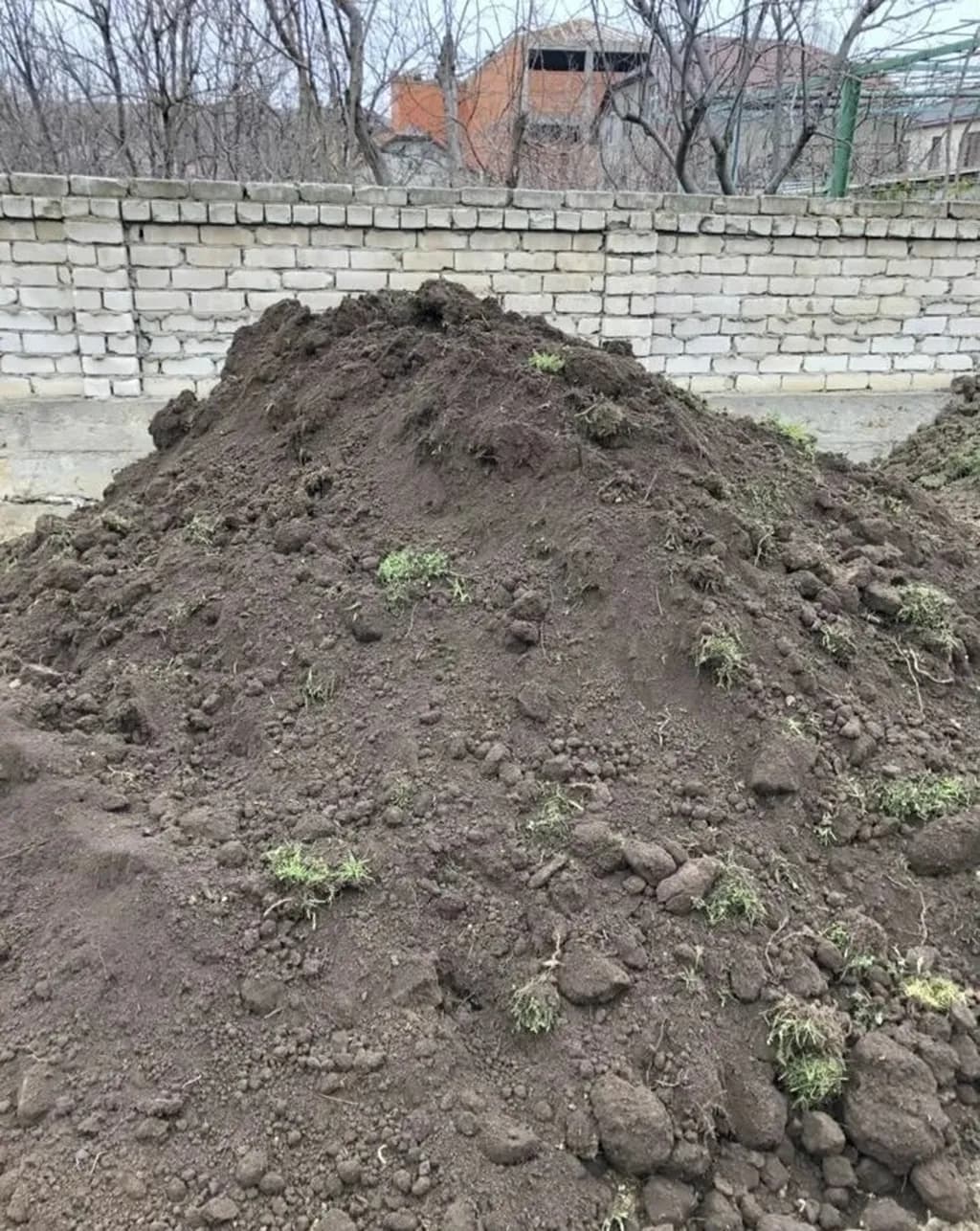 Qara torpaq ve peyin