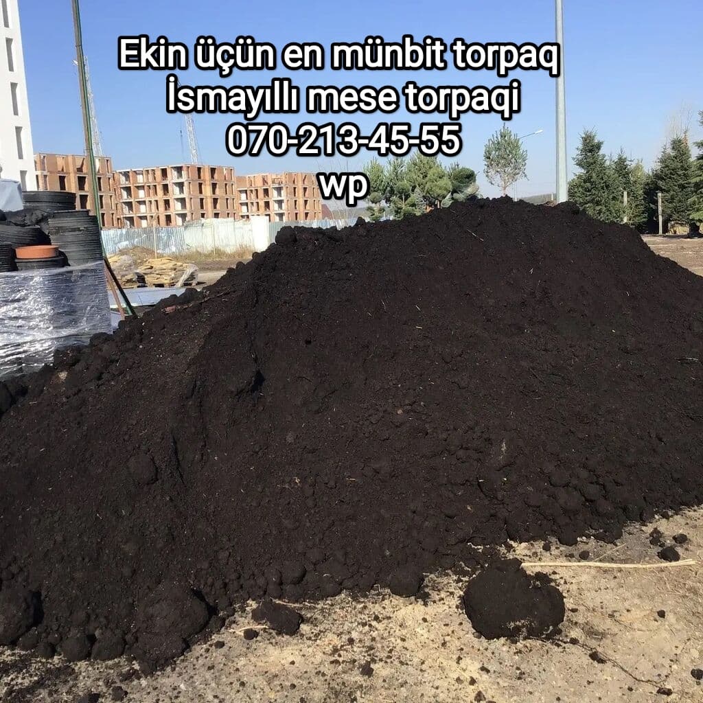 Qara torpaq ve peyin