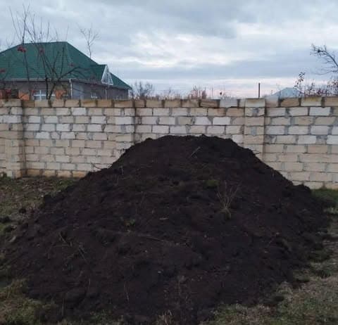 Qara torpaq