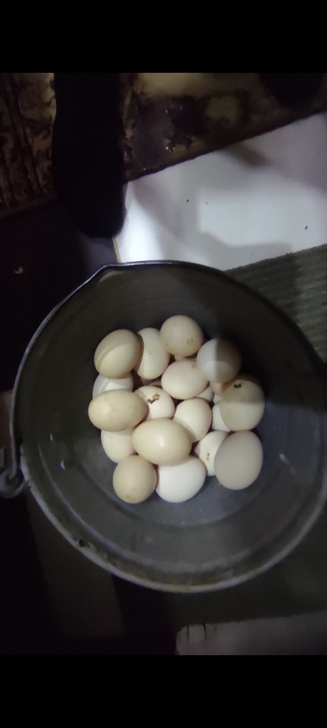 Mayalı kənd yumurtası