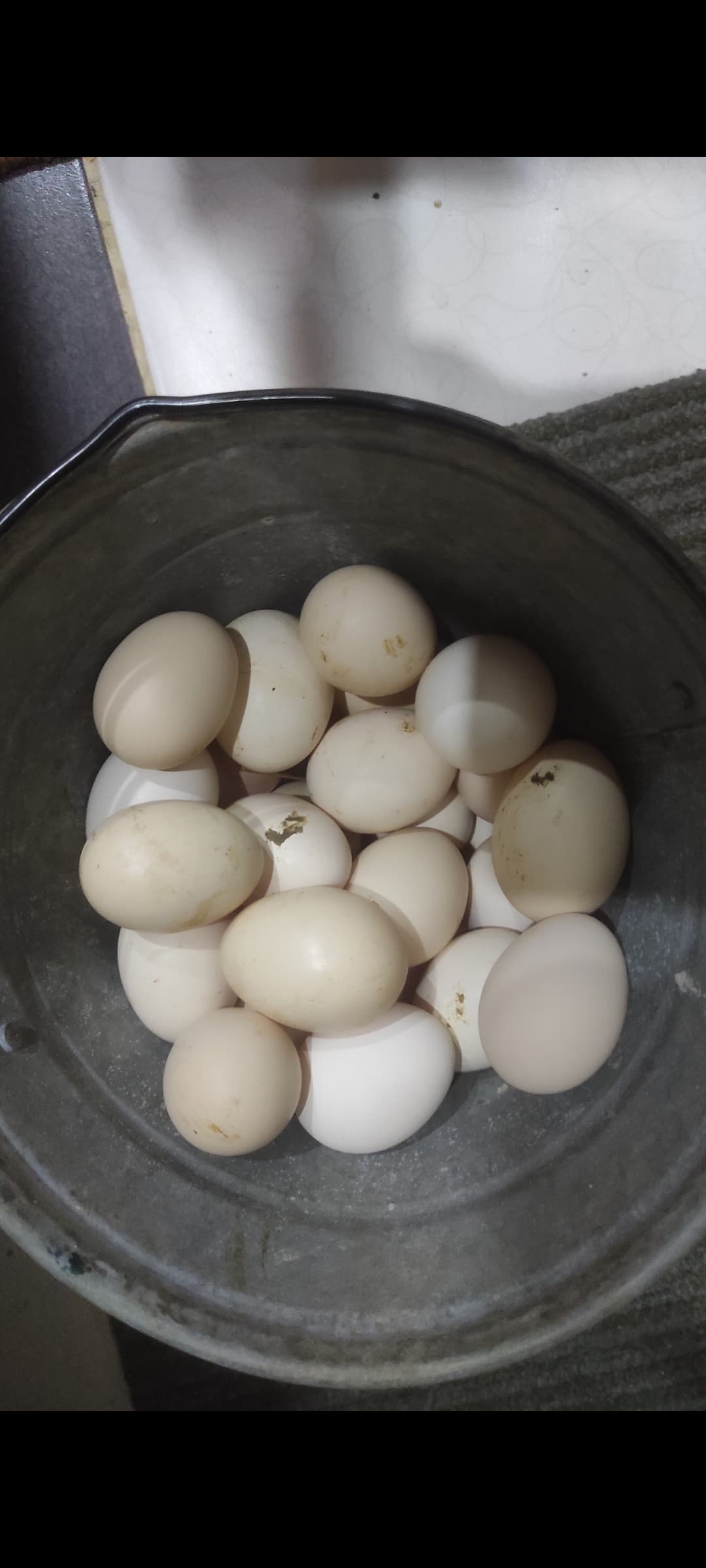 Mayalı kənd yumurtası