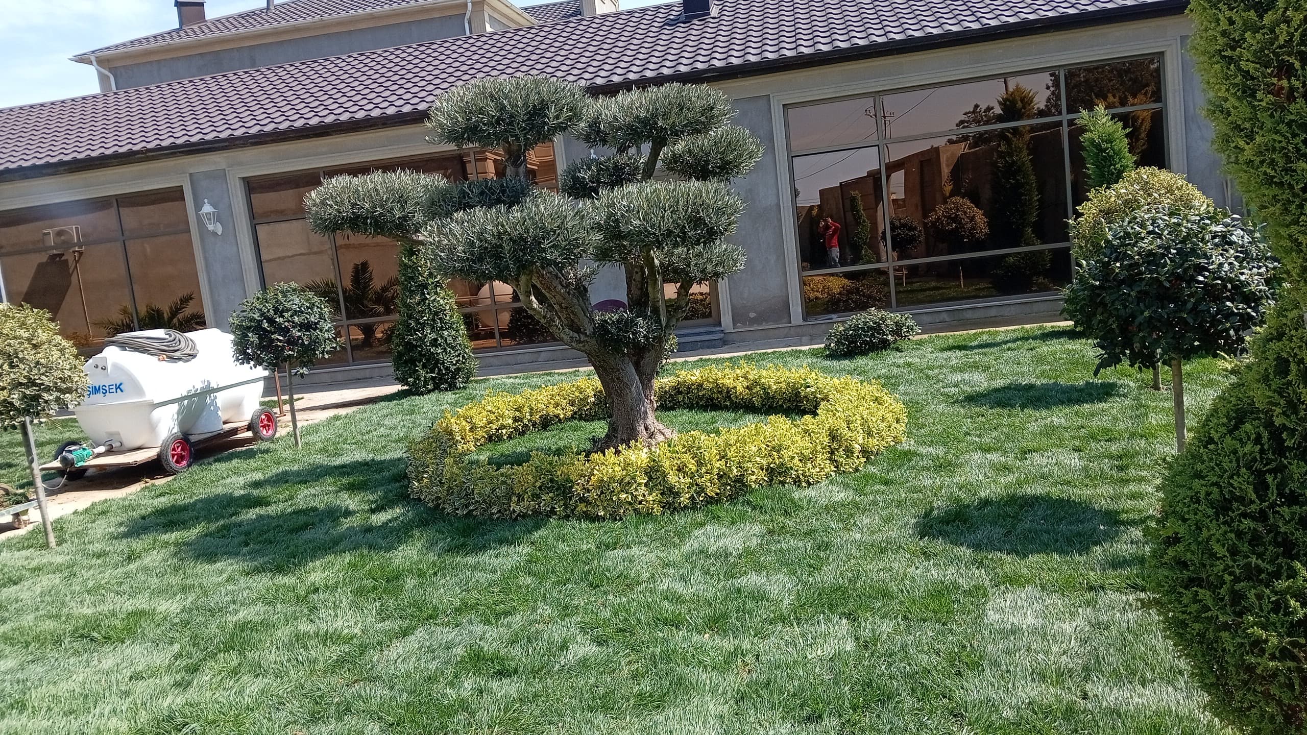 Qazon satışı