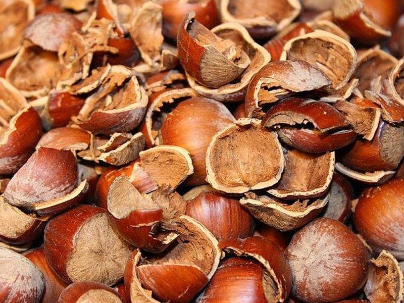 Fındıq qabığı satılır