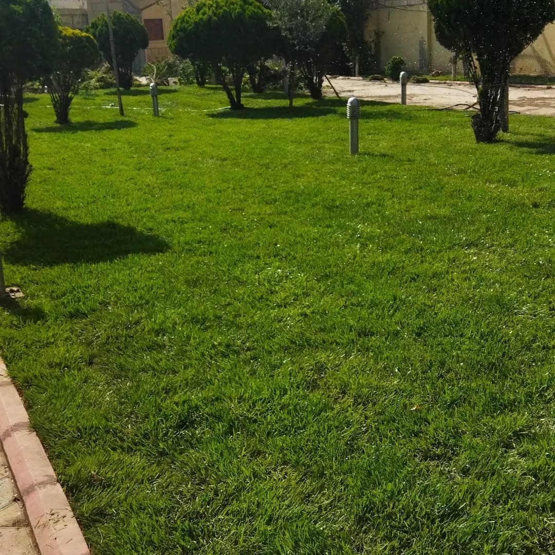 Qazon bağ xidmətləri