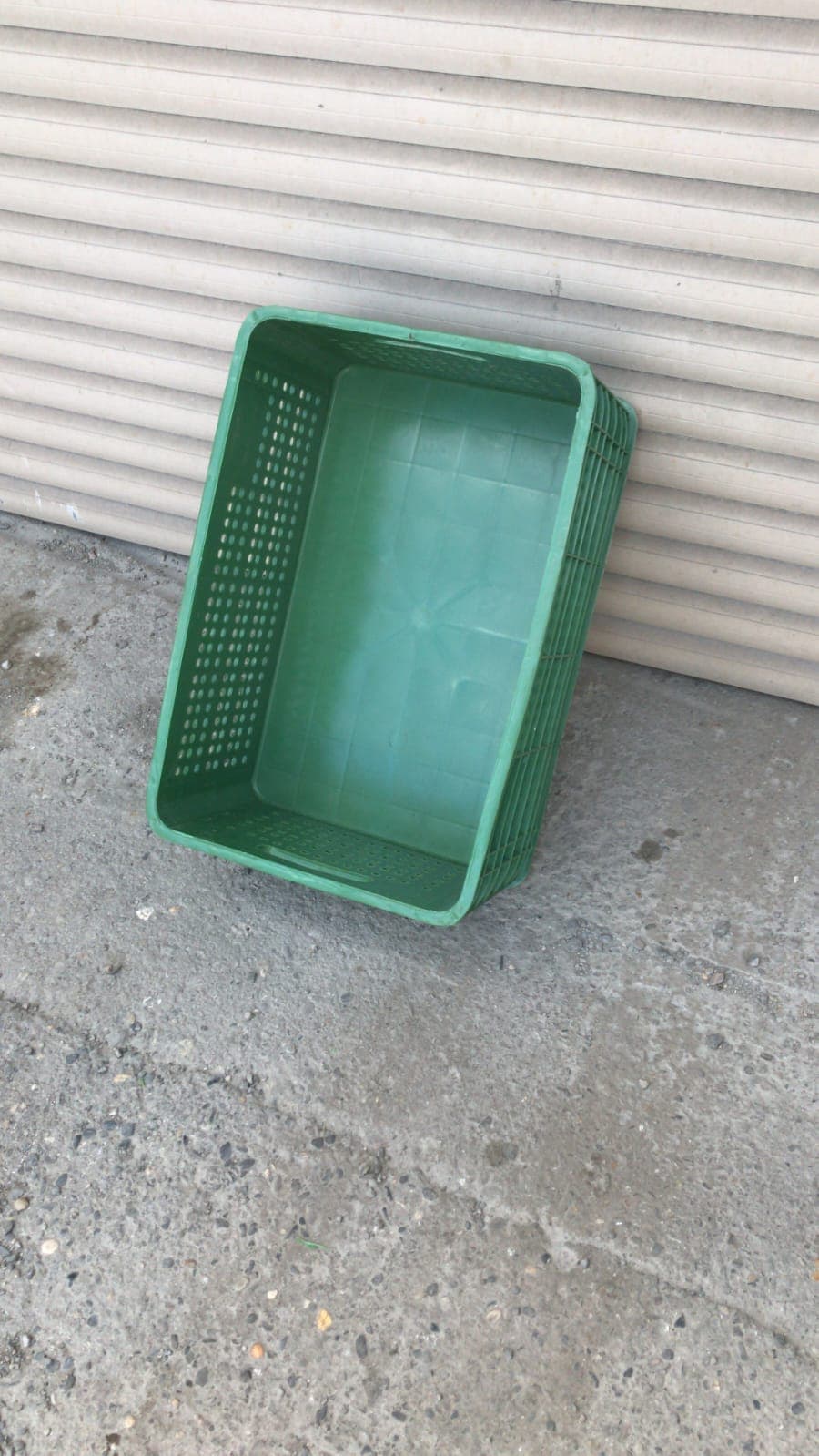 Plastik yeşik