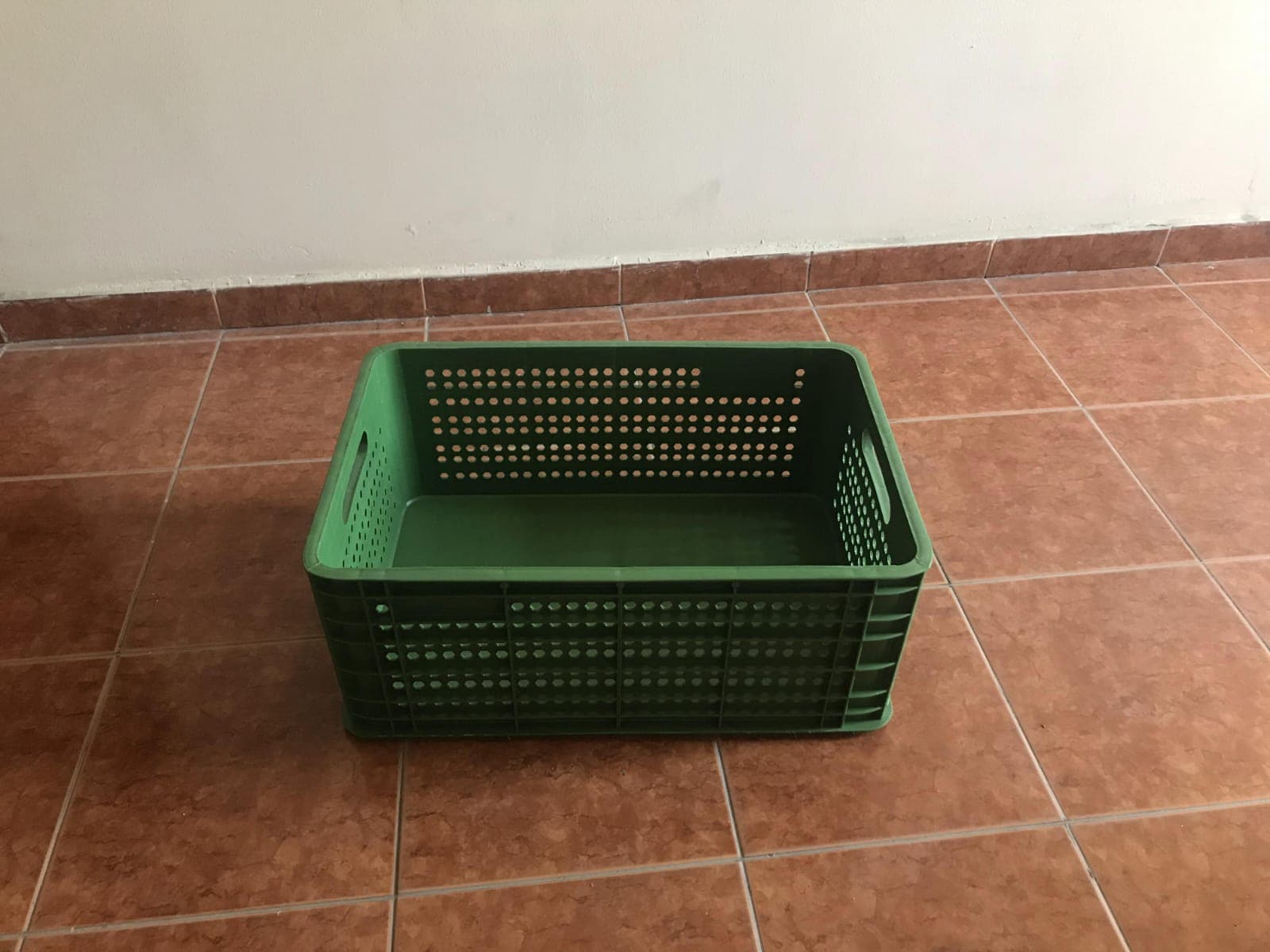 Plastik yeşik