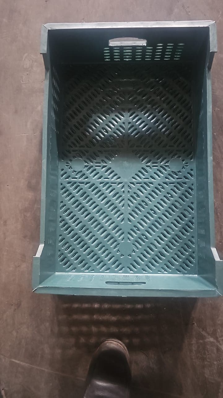 Plastik yeşik