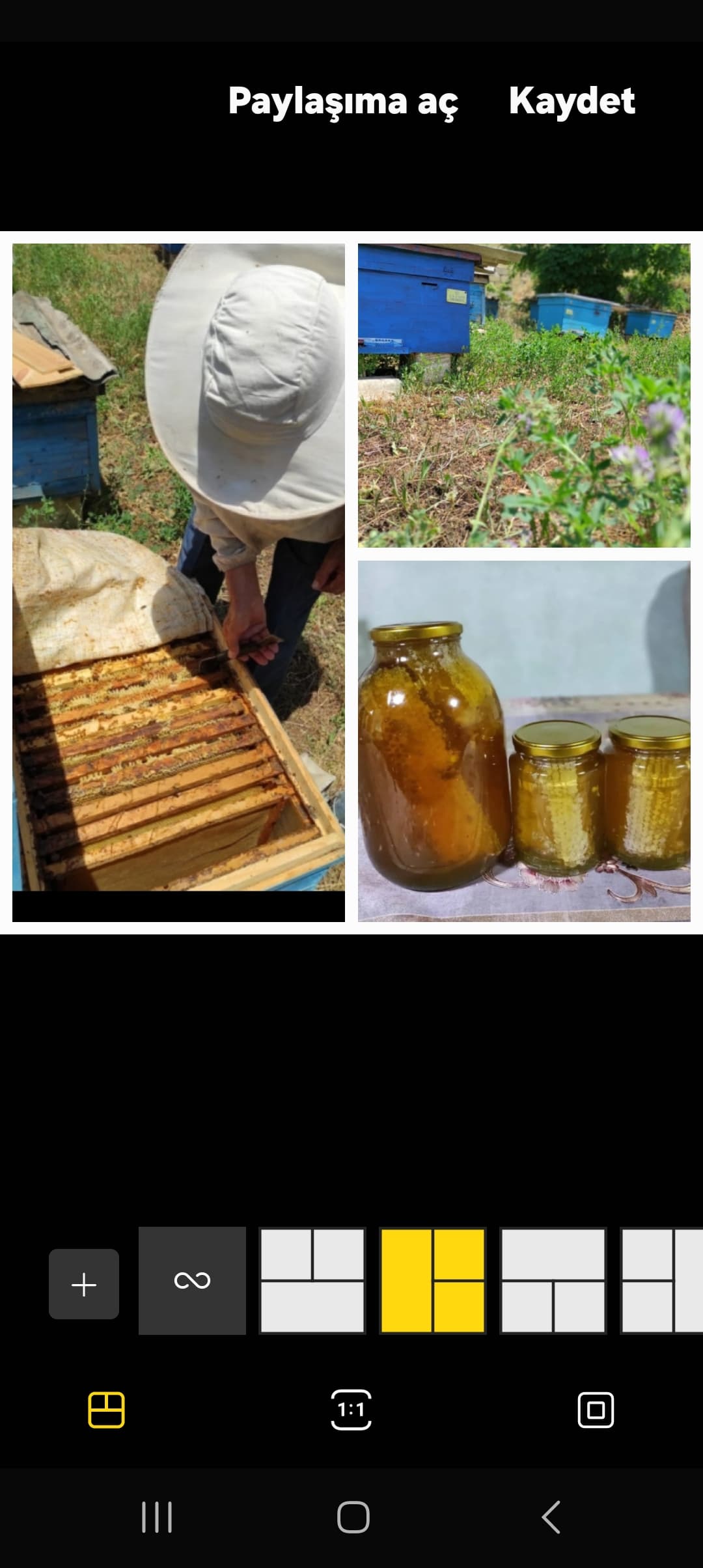 Yardımlı temiz dag balı