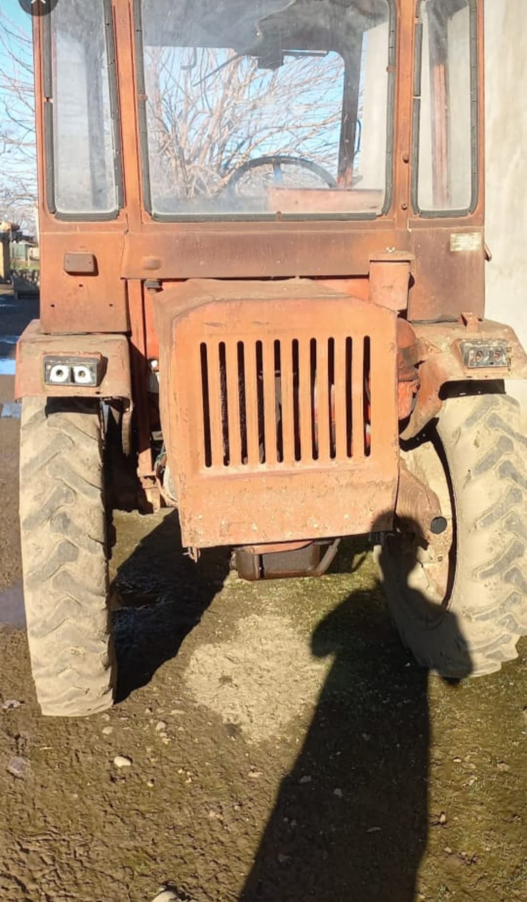 T16