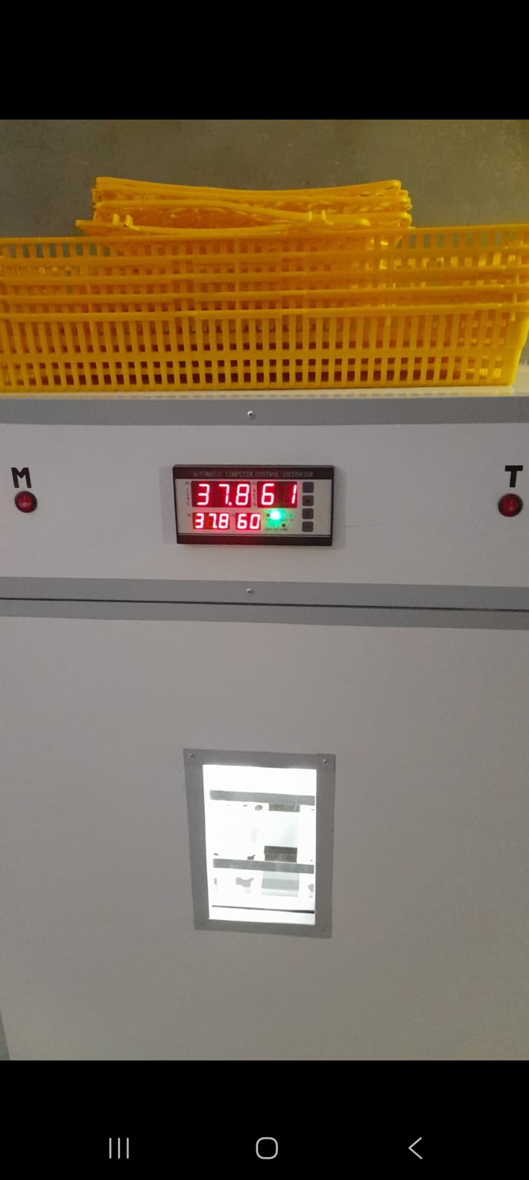 Inkubator satisi