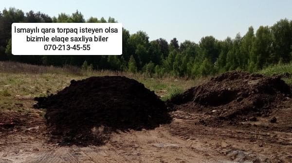 Mese torpaq