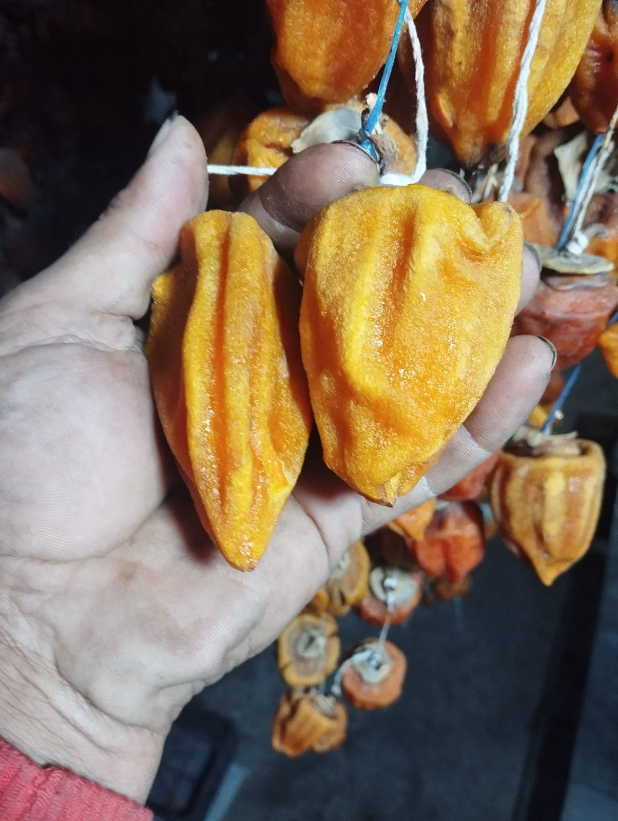 Xurma