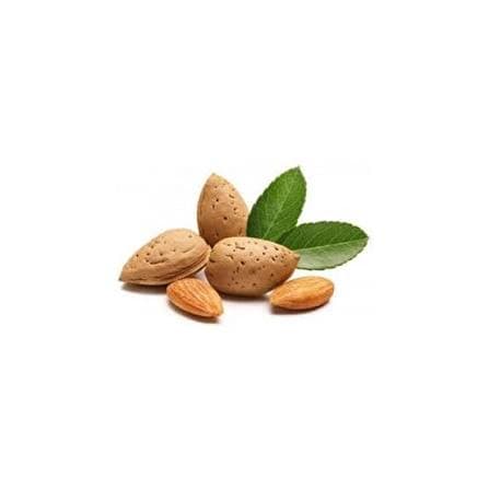 Badam taxta qabıqlı