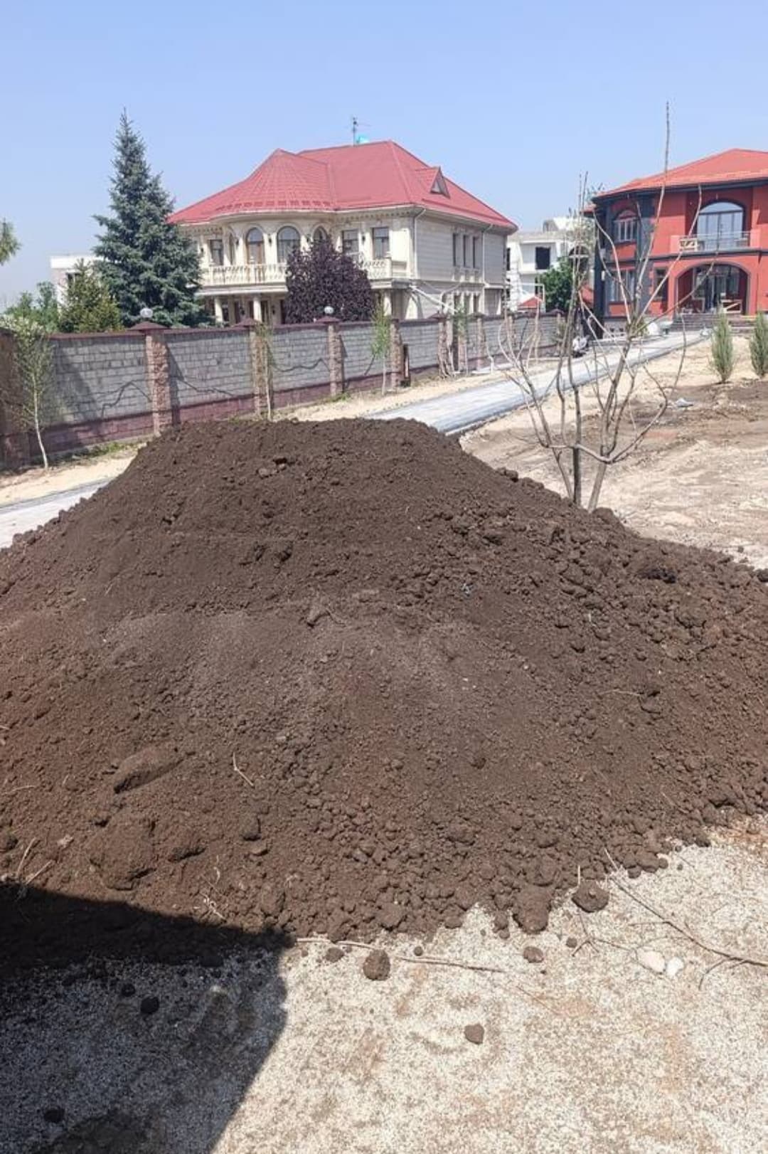 Qara torpağ peyin